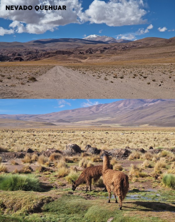 PAMiR7000